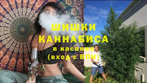дмт Кинешма