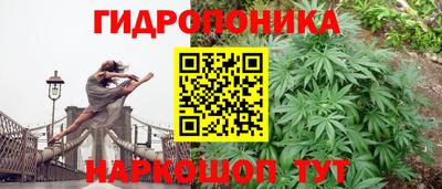 твердый Заводоуковск