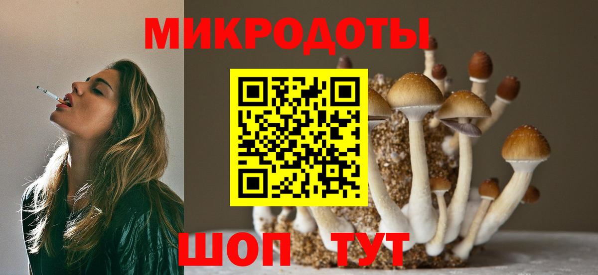Галлюциногенные грибы MAGIC MUSHROOMS Электрогорск