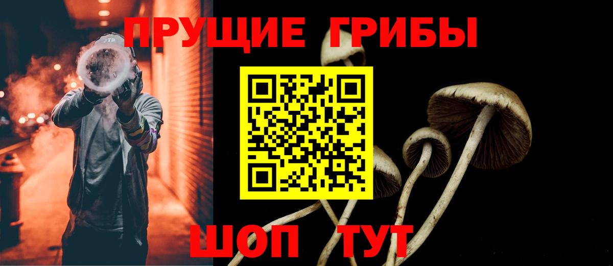 Галлюциногенные грибы мицелий  Галлюциногенные грибы MAGIC MUSHROOMS  где можно купить   Электрогорск  Вход с VPN 